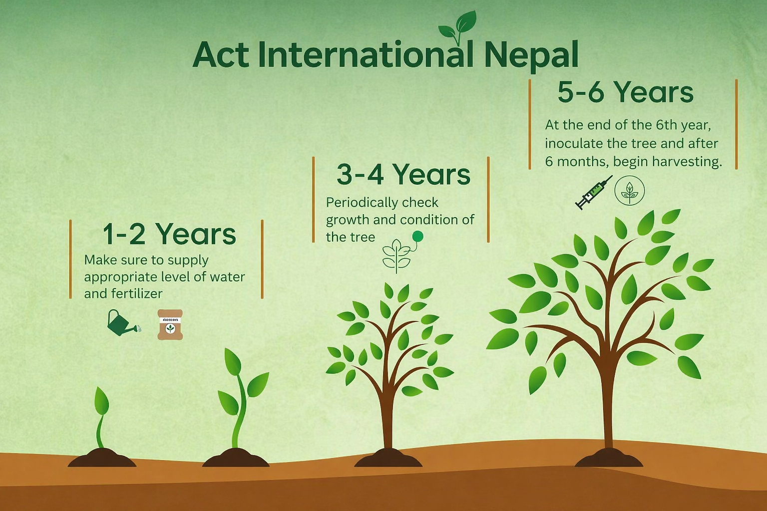 Agarwood Plantation Program image